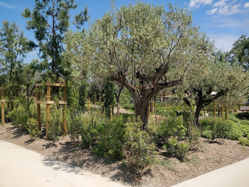 Parc jardin Nikaïa — photo