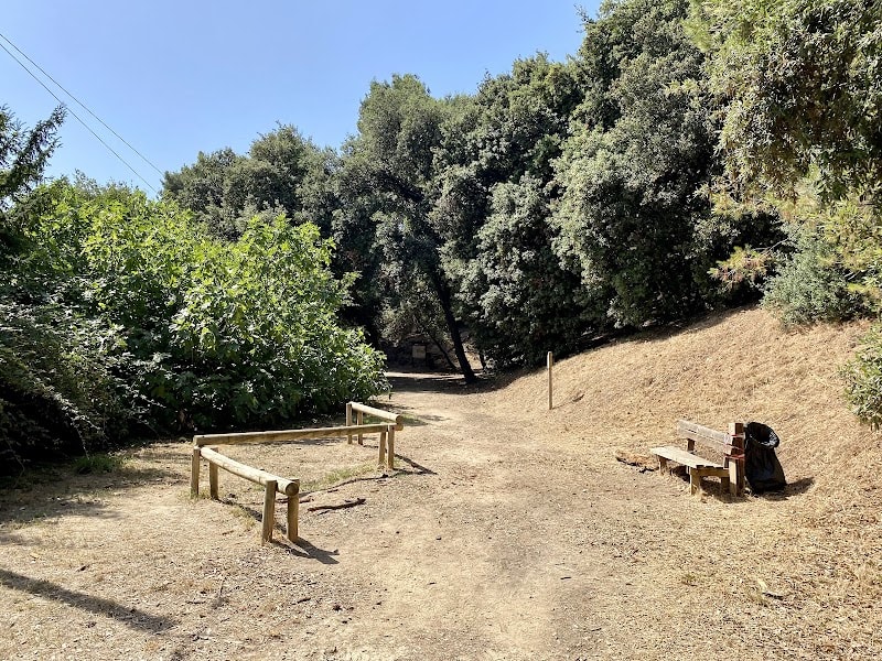 Forêt des Pugets à Saint-Laurent-du-Var — photo