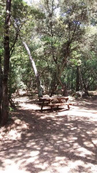Parc naturel départemental du Sinodon — photo