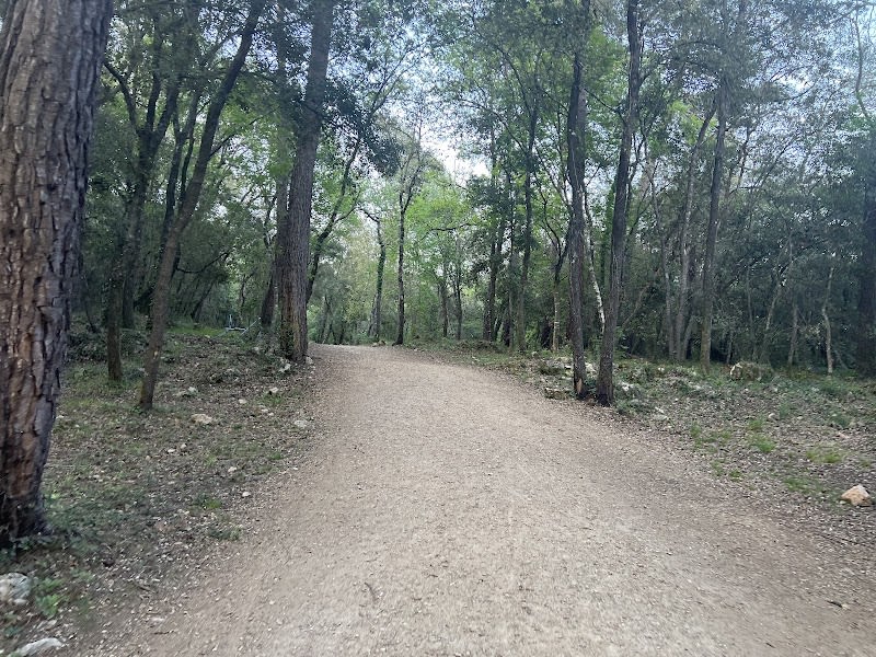 Parc naturel départemental du Sinodon — photo