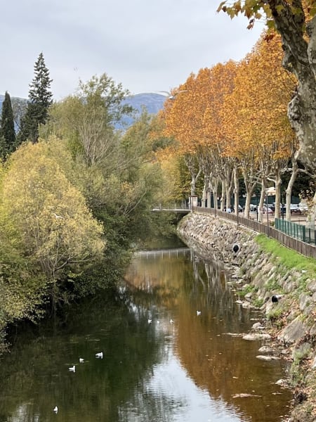 Rives du loup — photo