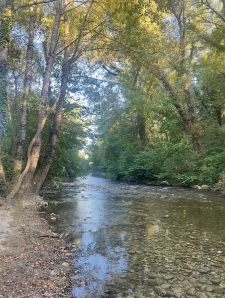 Rives du loup — photo