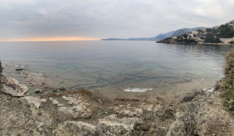 Plage du chien — photo