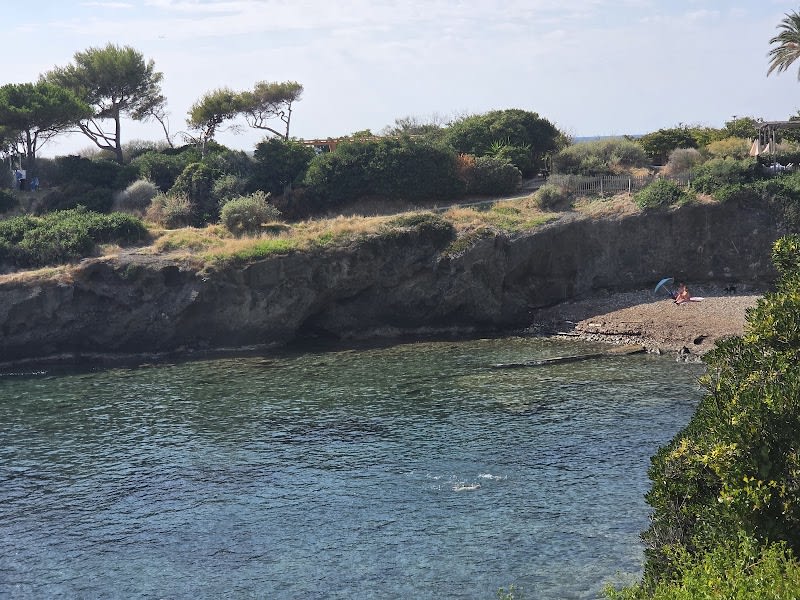 Plage du chien — photo