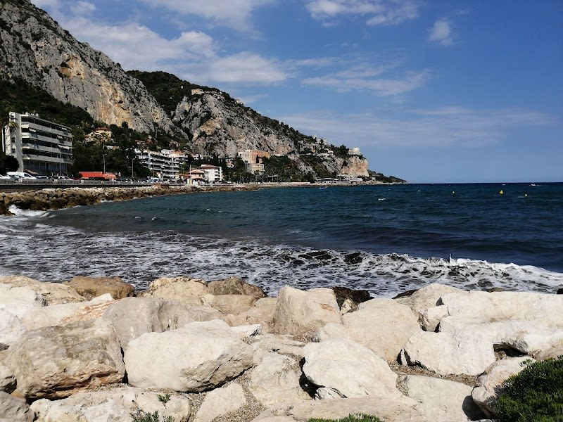 Plage pour les Chiens — photo