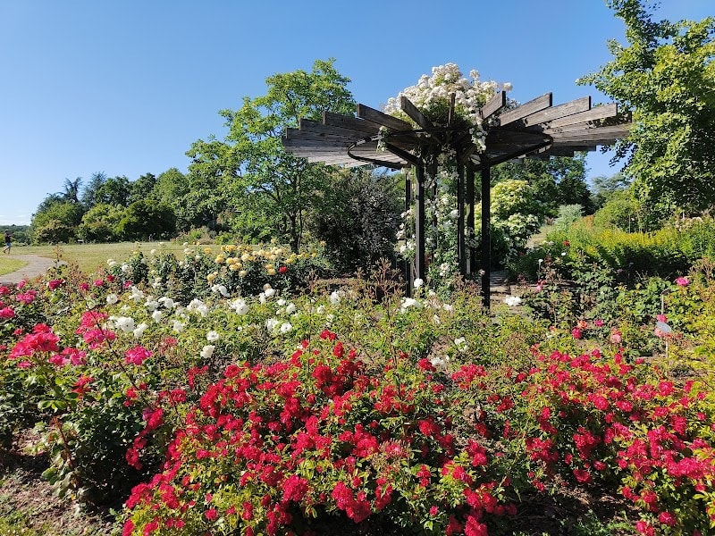 Parc Floral la Roseraie — photo