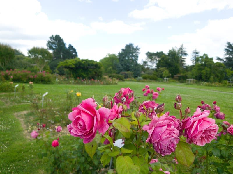 Parc Floral la Roseraie — photo