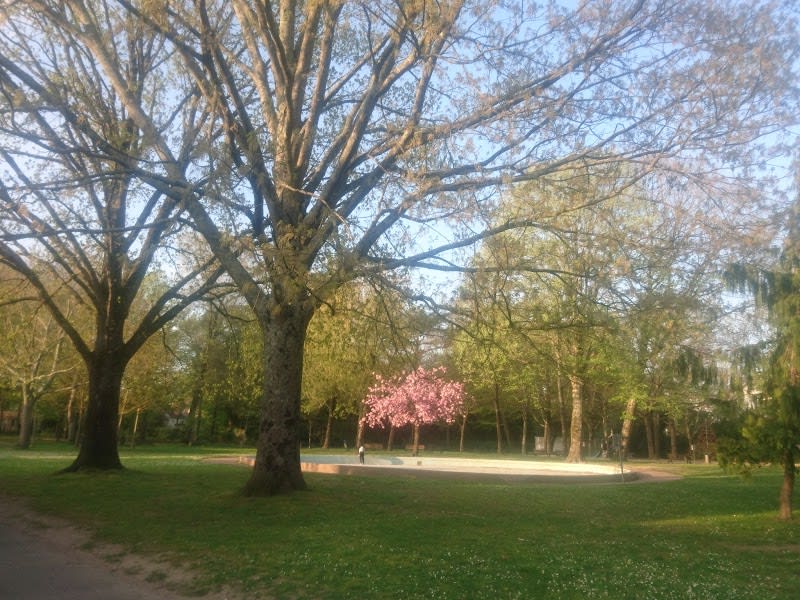 Parc du Plessis Tison — photo