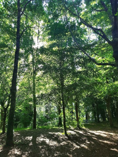 Promenade de la Chézine — photo