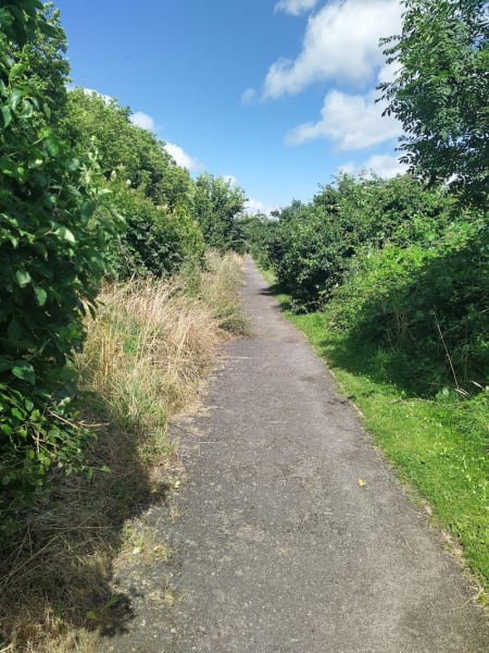 Chemin bord de Loire: Bateliers à Malakoff — photo