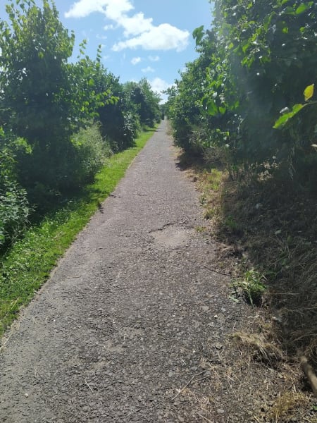 Chemin bord de Loire: Bateliers à Malakoff — photo