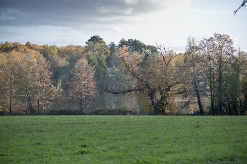 Bois de la Desnerie — photo