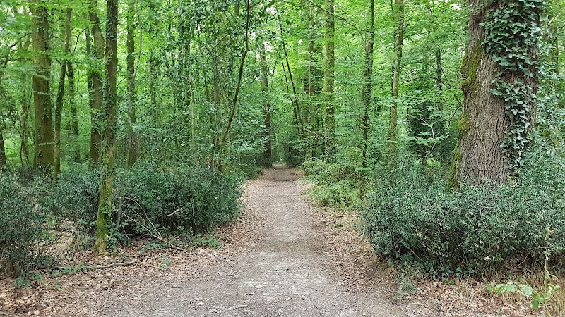 Bois de la Desnerie — photo