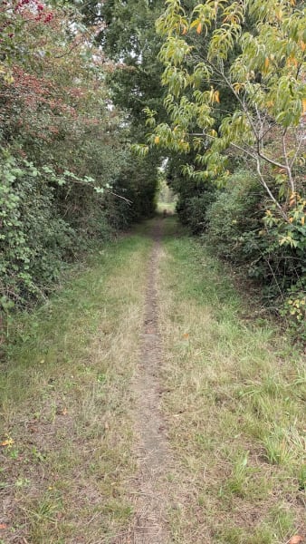 Chemin des Bélians — photo