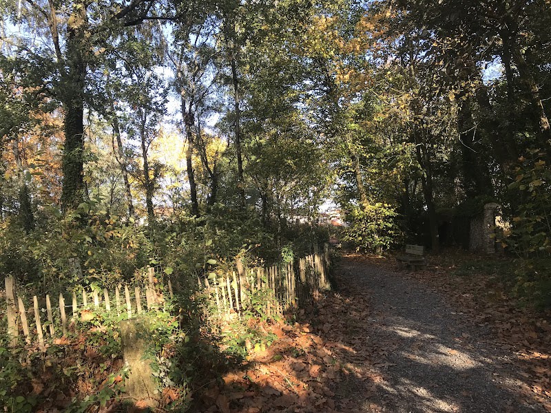 Bois des Naudières — photo