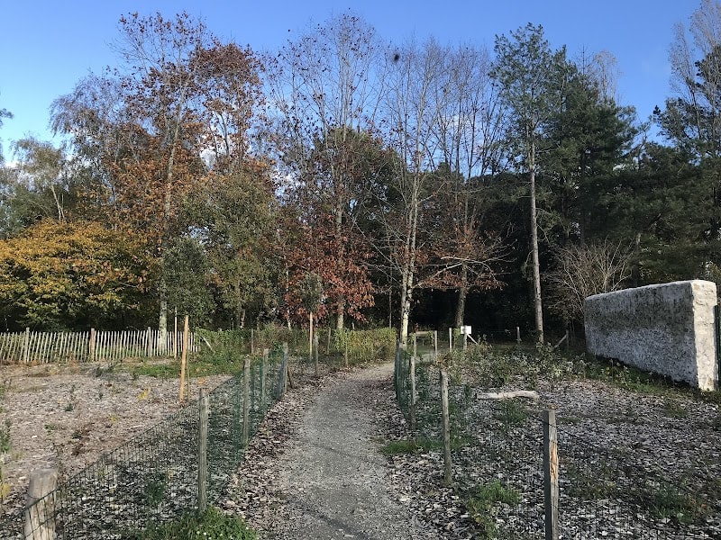 Bois des Naudières — photo