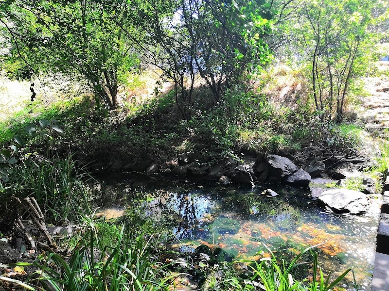Parc bottière-chenaie — photo