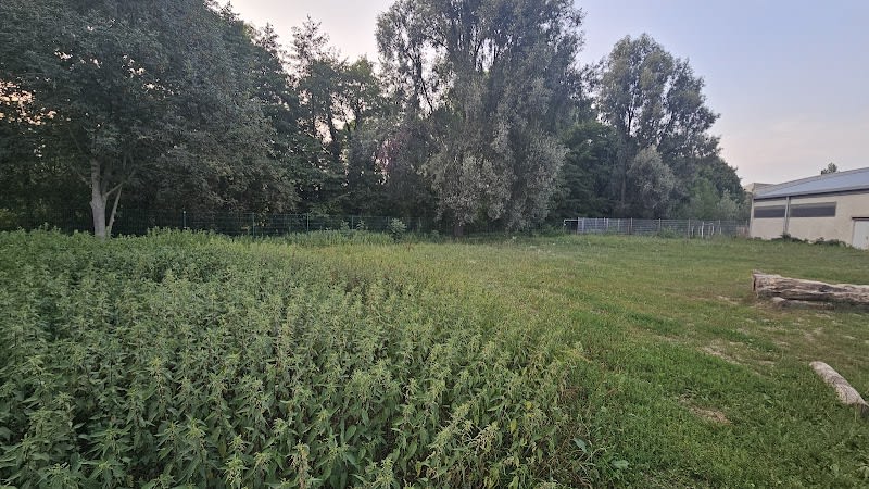 Aire d'ébats canins — photo