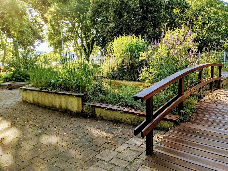 Jardin des senteurs et du toucher — photo
