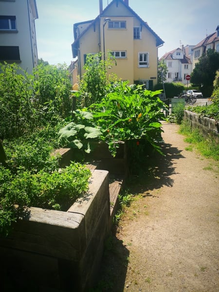 Lands’herb Jardin Partagé — photo