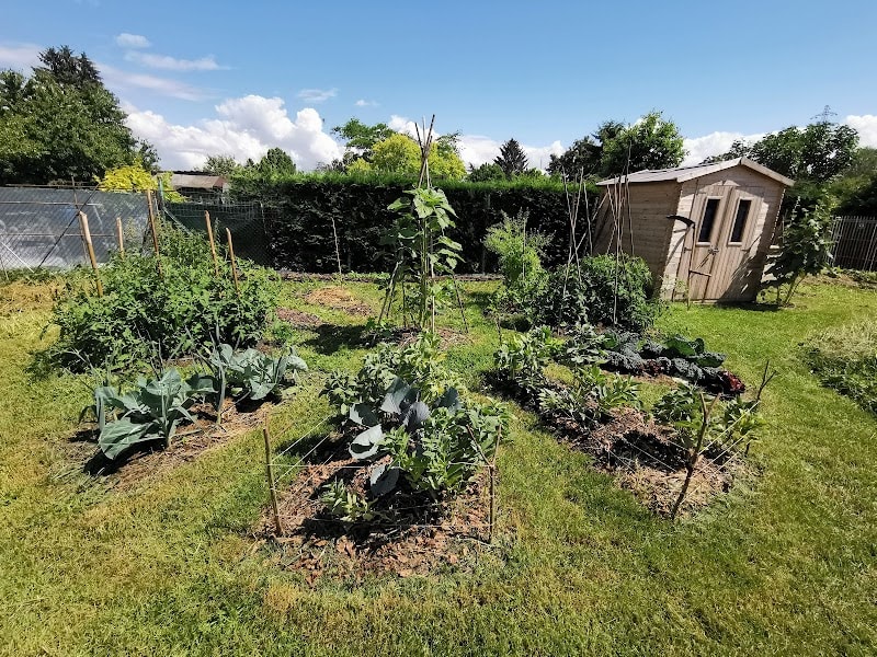 Jardin pédagogique - La Fourmi — photo