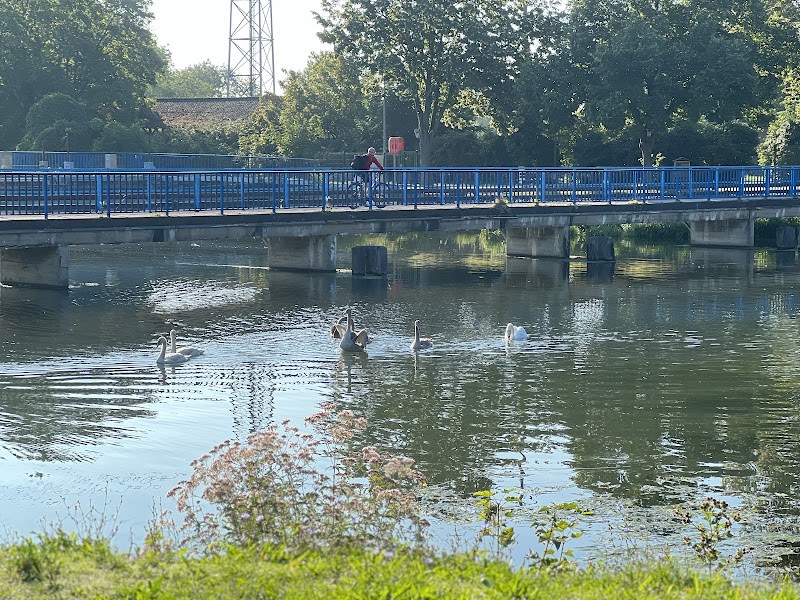 Parc Canin — photo