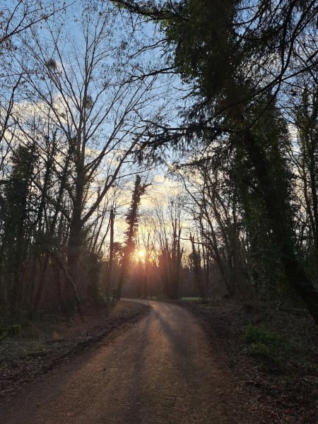 Entrée Forêt du Neuhof - chemin de la Faisanderie — photo
