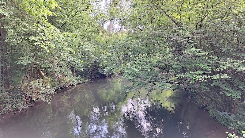 Réserve naturelle nationale du massif forestier de Strasbourg-Neuhof/Illkirch-Graffenstaden — photo