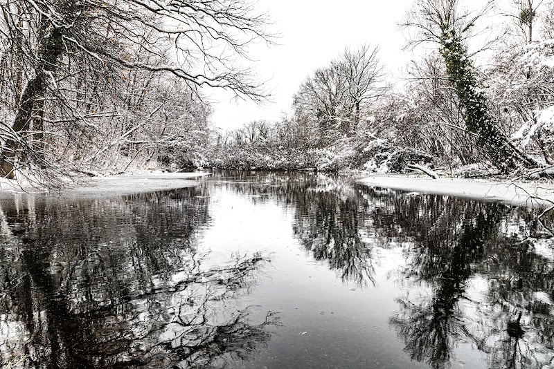 Réserve Naturelle Nationale du massif forestier de la Robertsau et de La Wantzenau — photo