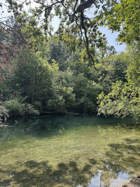 Réserve Naturelle Nationale du massif forestier de la Robertsau et de La Wantzenau — photo
