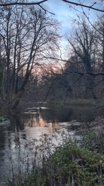 Parcours sportif de La Wantzenau — photo