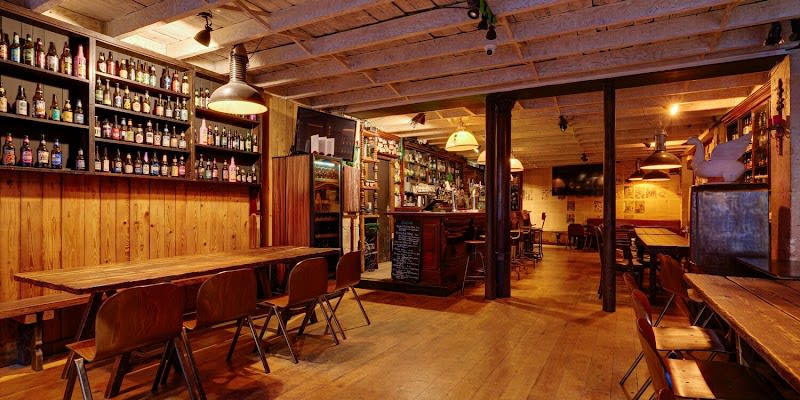 The Green Goose — photo