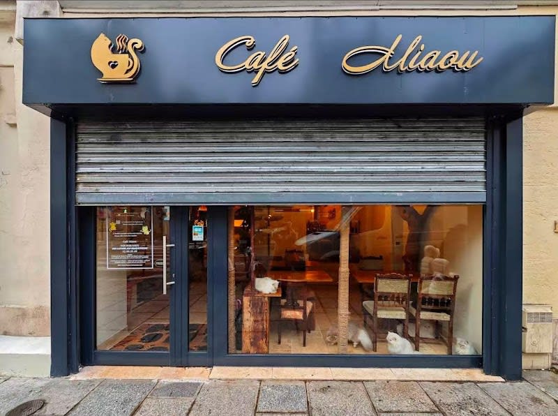 Café Miaou — photo