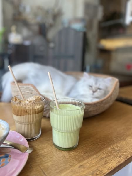 Café Miaou — photo