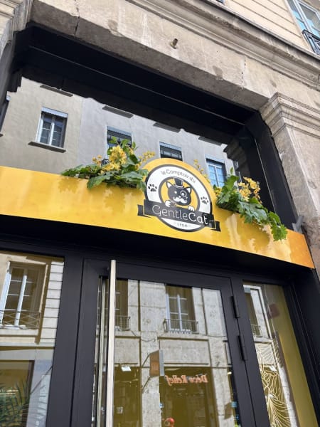 Le GentleCat · restaurant · bar à chats · bar à jeux · brunch · salon de thé (interdit moins de 12 ans) — photo
