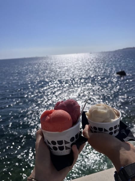 LOULOU MONSIEUR GLACE - ROUCAS — photo