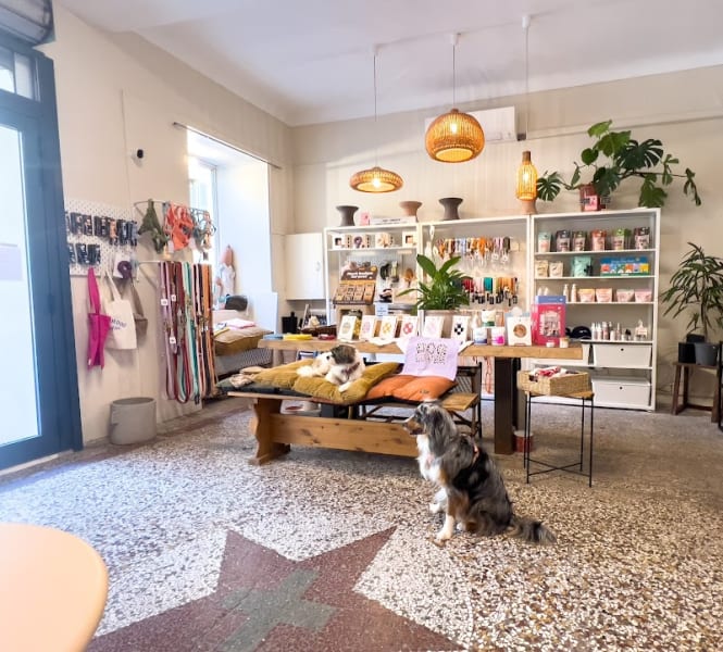 Full Bloom Café — photo