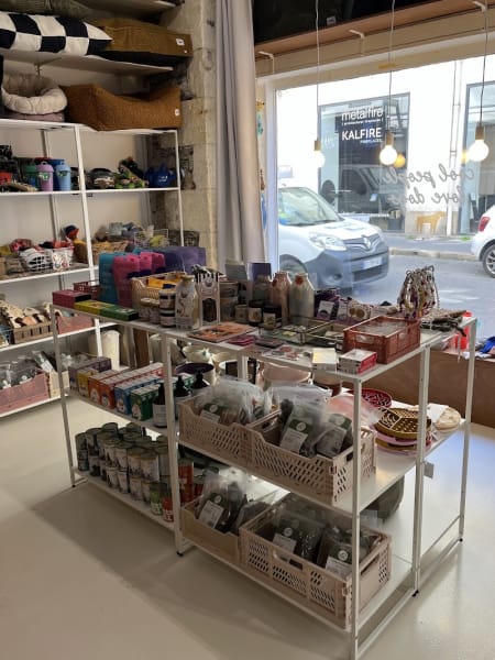 Biche dogshop — photo