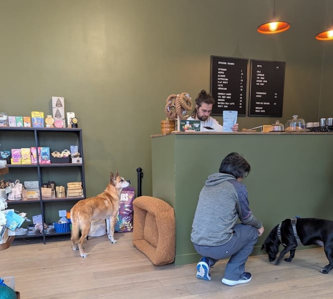 Mozza Dog Shop - concept-store chien et chat — photo