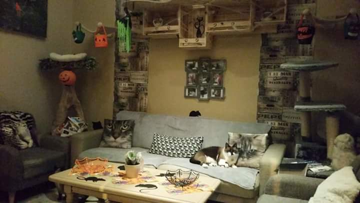 Chatperlipopette Café — photo