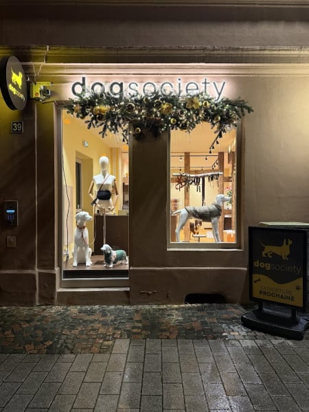 Dog Society — photo
