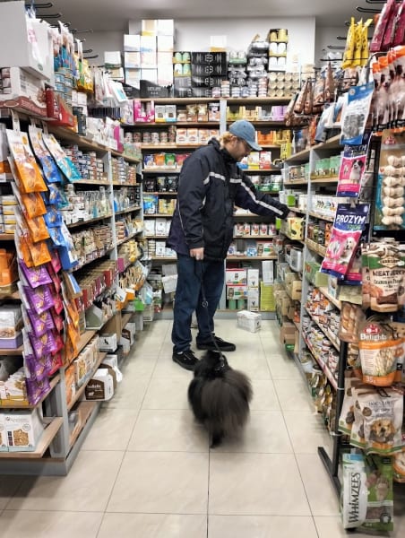 City Pet Shop — photo