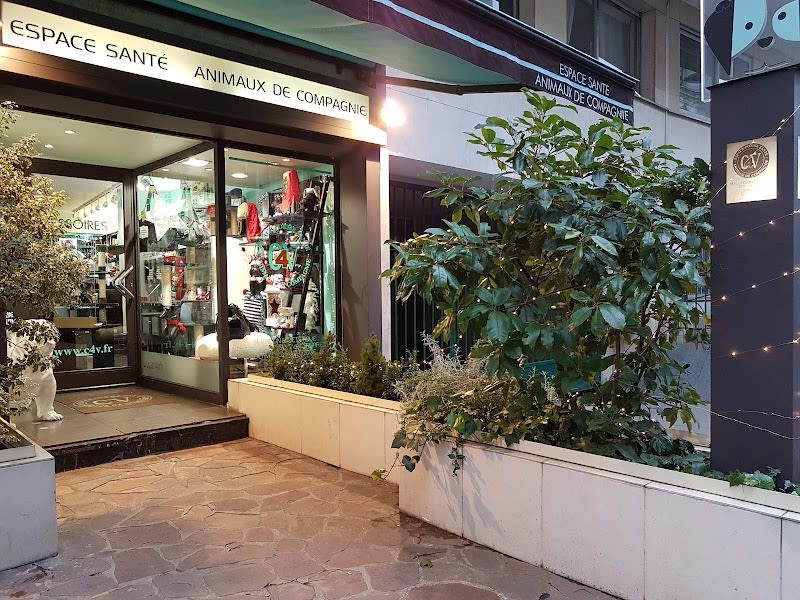 C4V Paris 6 — photo