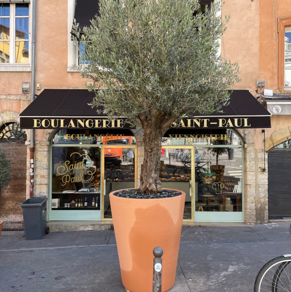 Boulangerie Saint Paul — photo