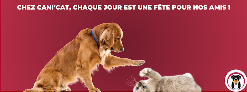Cani'Cat — photo