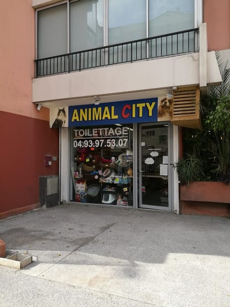 Animal City & Co — photo
