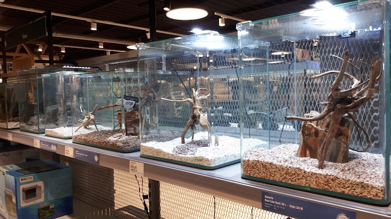 Maxi Zoo Nice — photo