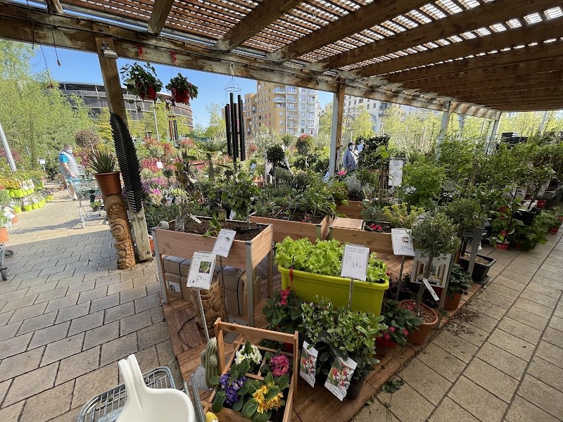 botanic Strasbourg — photo