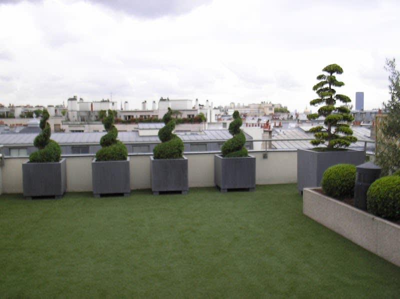 Casanova France jardinier-paysagiste — photo