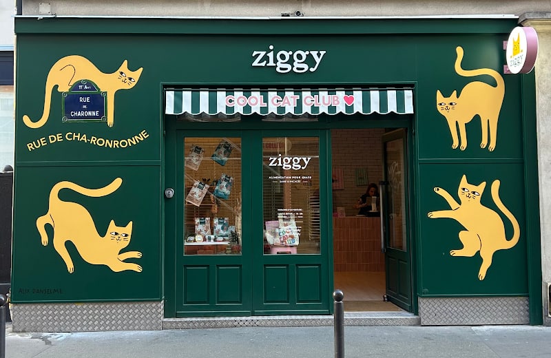 Boutique Ziggy Paris 11e — photo